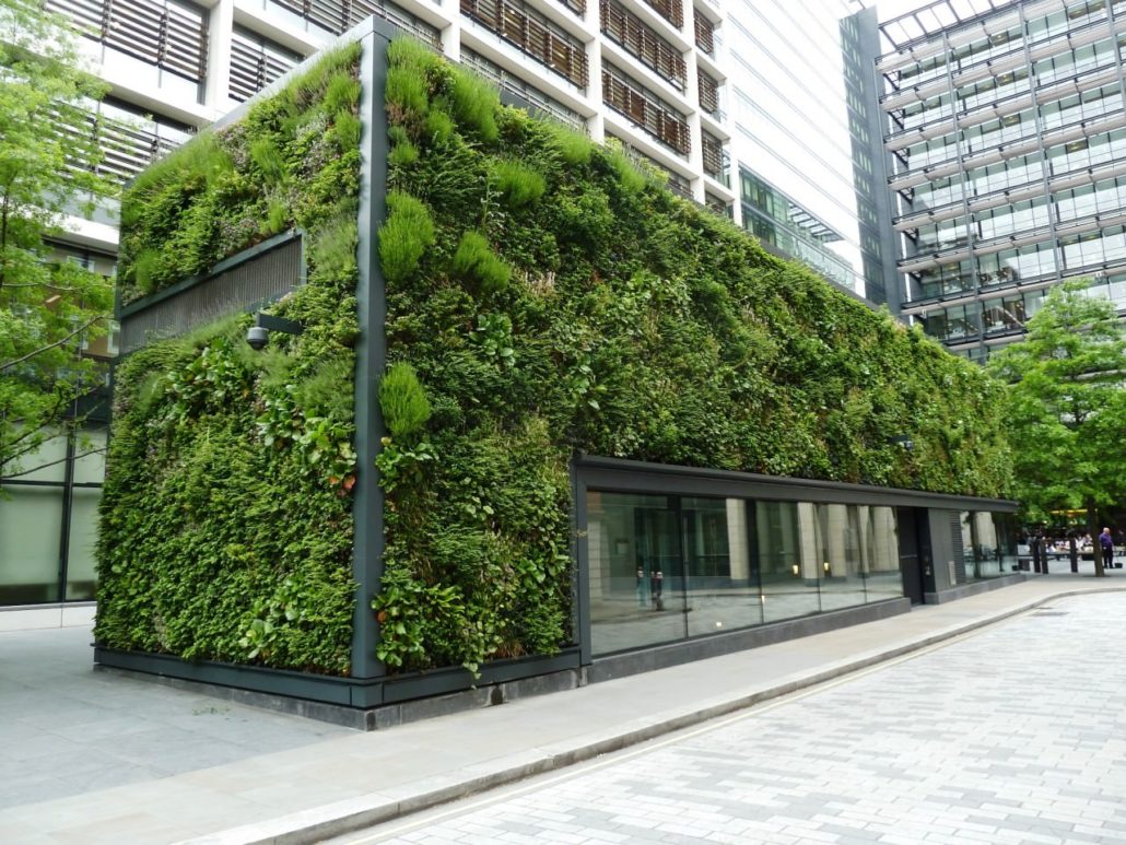 Green wall in urban areas