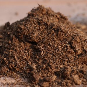 Peat Moss