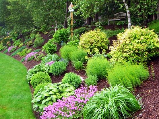 Help Customers Avoid Soil Erosion And, Landscaping To Stop Erosion