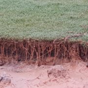 Avoid Soil Erosion