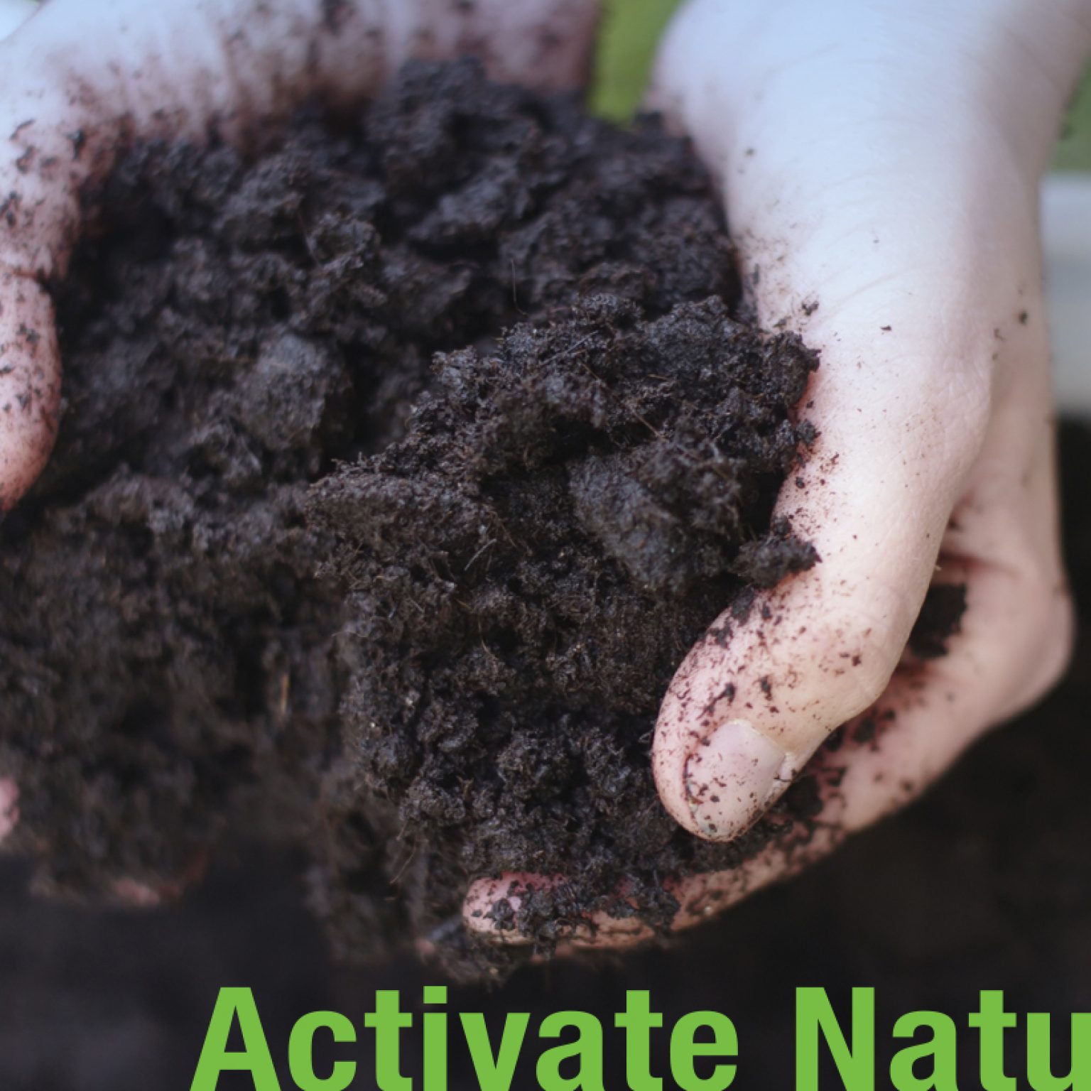 The best time to improve the soil is in the fall