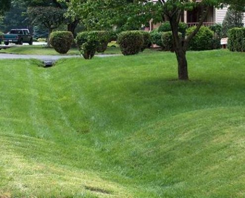 Incorporate a swale to prevent runoff