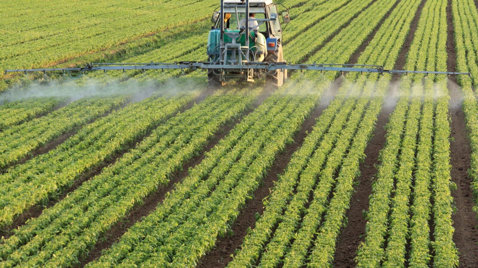 Nitrogen Poses Risk To Environment