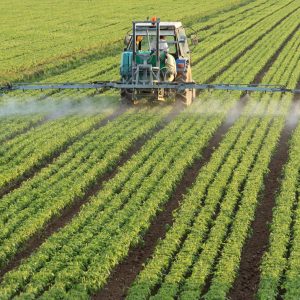 Nitrogen Poses Risk To Environment