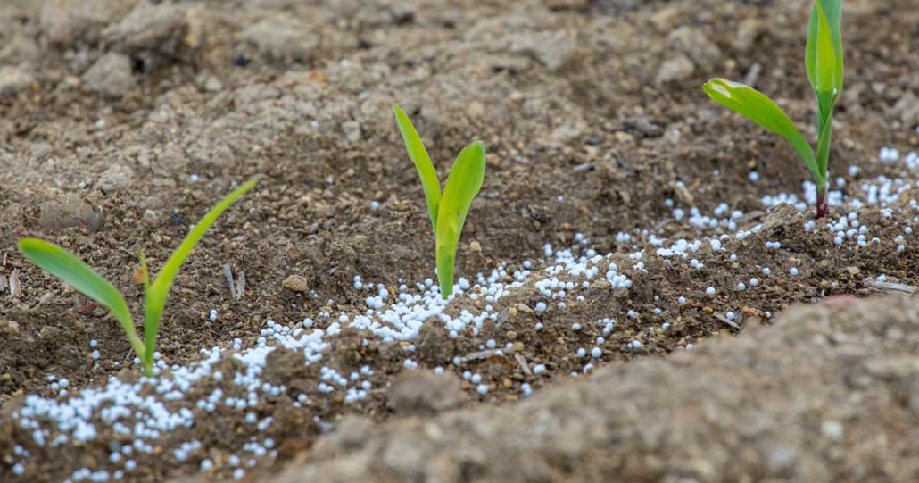 fertilizer harms the environment