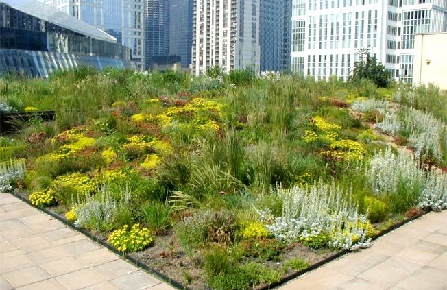 Green roof offers benefits for environment