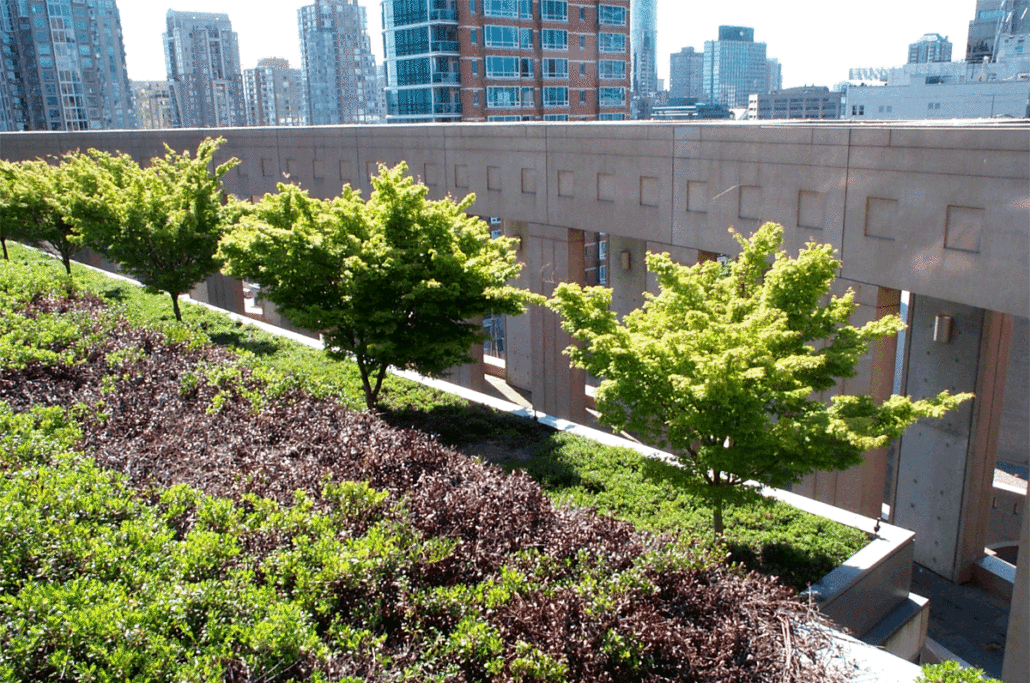 Green roofs are sustainable
