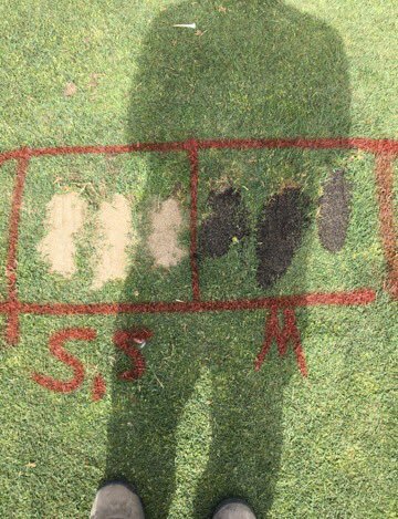 Before: Divot repair