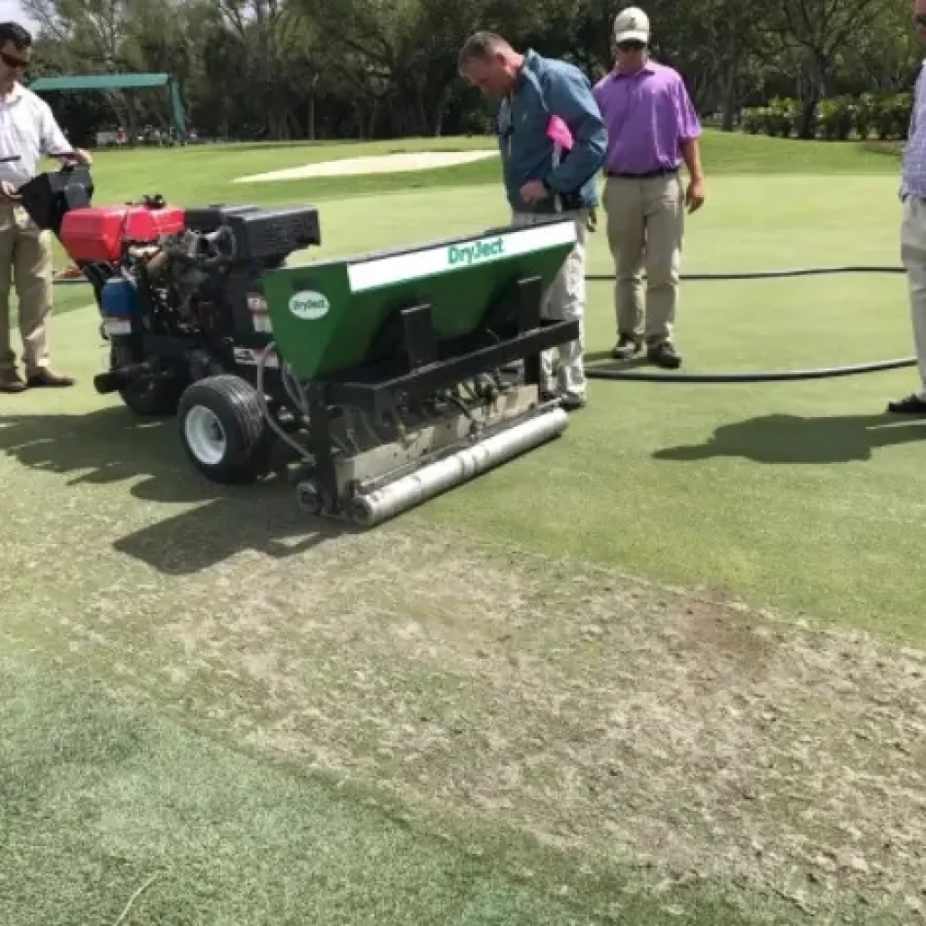 Mirimichi green golf