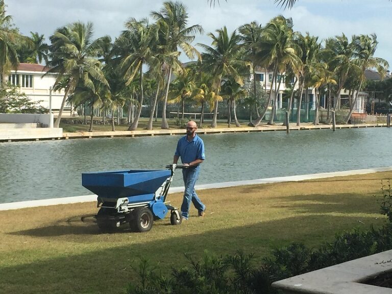 Topdressing a lawn with a walk-behind spreader