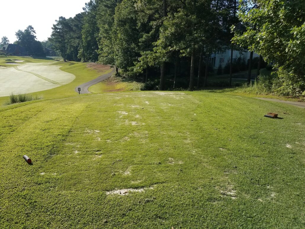 Before: Tee repair
