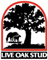 Live Oak Stud Farm