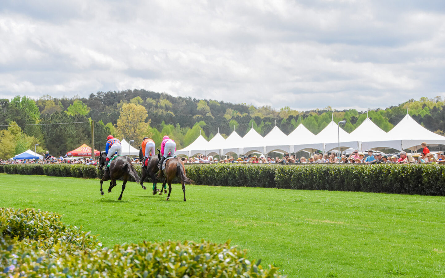 Horses and riders on a cross-country course with spectator tents